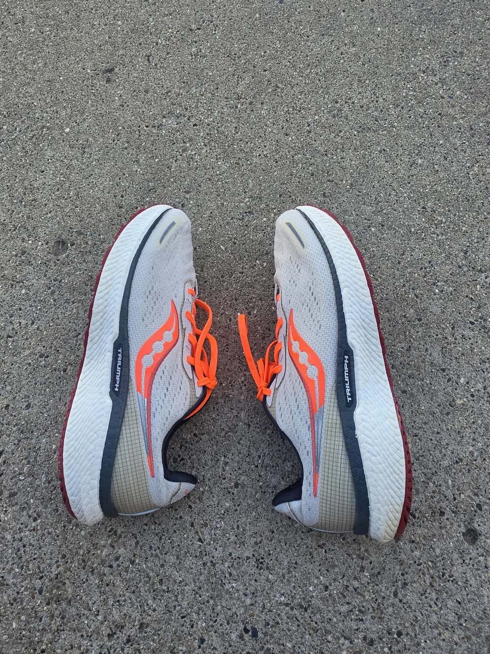 Saucony  Sneaker Women Size 10